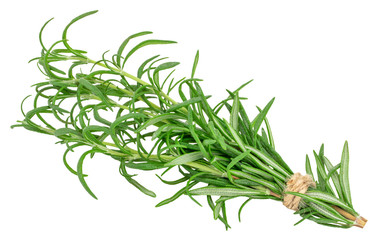Fototapeta premium green fresh rosemary isolated on white background