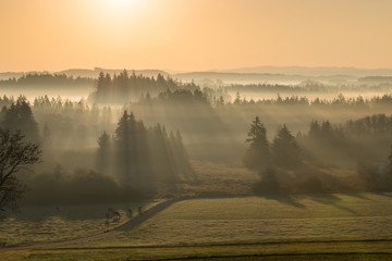 Herbstmorgen über Moorgebiet