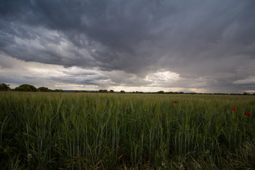 paisaje natural con cielo