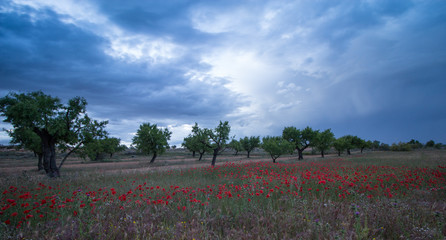 paisaje natural con cielo