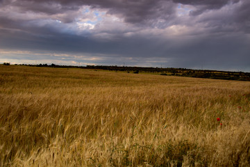 paisaje natural con cielo