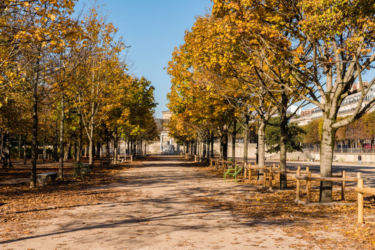 An Autumn Morning in the Tuilerie Gardens in Paris