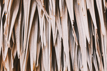 Abstract dried leaves of tree background.