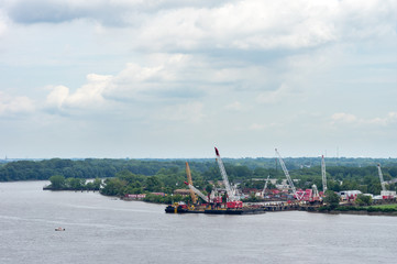 Cranes on the Rivers Edge