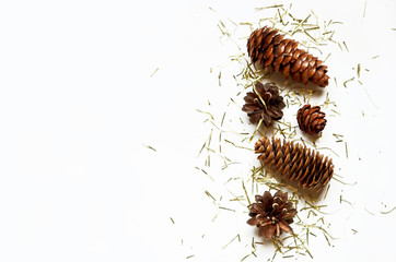 Merry Christmas and Happy New Year. Christmas decorations. Free space for text.