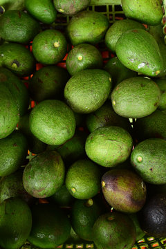 close up of fresh avocado for background