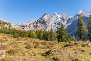Fototapeta premium Wandern im Berner Oberland mit Blick auf die Schweizer Alpen - Kanton Bern, Schweiz