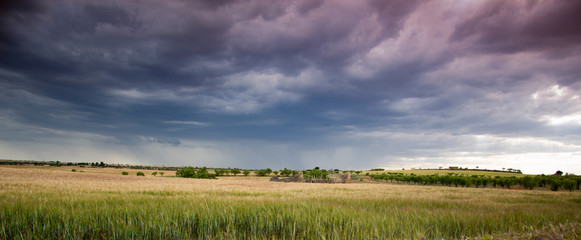 paisaje natural con cielo