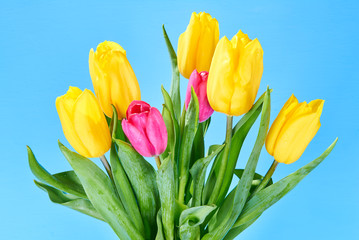 bouquet of yellow and pink tulips on a blue background