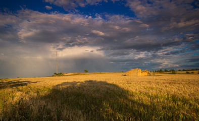 paisaje natural con cielo