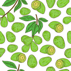 Haritaki. Terminalia chebula. Plant. Fruit, leaves, branch. Seamless, texture, wallpaper. Color