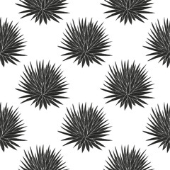 Yucca. A plant, a bush. Black silhouette on white background. Sketch. Wallpaper, texture, seamless.
