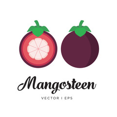 Obraz premium Fresh mangosteen, cut sliced, seeds, leaf and steam, vector editable illustration. Flat simple style, tropical fruit.