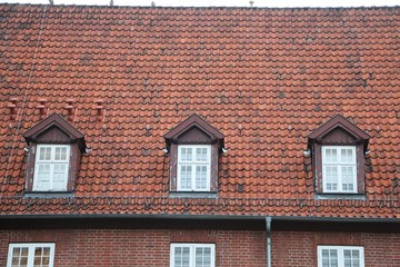 close up from a roof with windows from a historical old building
