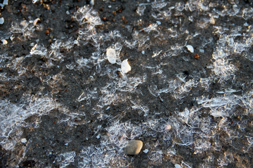 Eiskristalle mit Muscheln