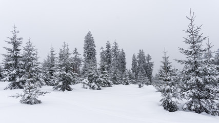 Winterlandschaft am Rachel