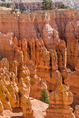 landscape on the bryce canyon in the united states of america