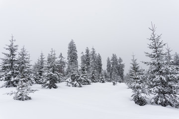 Winterlandschaft am Rachel