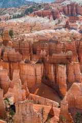 landscape on the bryce canyon in the united states of america