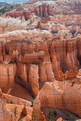 landscape on the bryce canyon in the united states of america