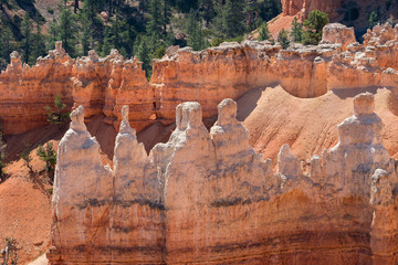 landscape on the bryce canyon in the united states of america