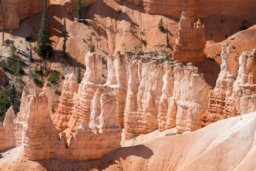 landscape on the bryce canyon in the united states of america