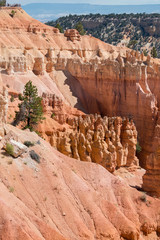 landscape on the bryce canyon in the united states of america