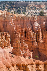 landscape on the bryce canyon in the united states of america
