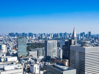 都庁から眺める東京都心部