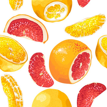 Seamless pattern in vector with citrus fruit slices