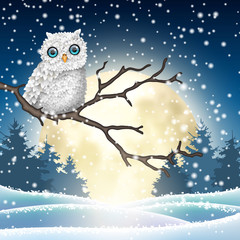 Christmas motive, white owl sitting on dry branch