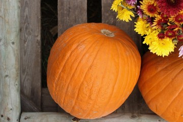 pumpkins and flowers on wooden table