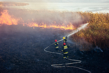 Fototapeta premium Firefighters battle a wildfire