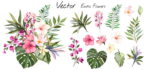 Tropical vector flowers. card with floral illustration. Bouquet of flowers with exotic Leaf isolated on white background. composition for invitation to party or holiday - obrazy, fototapety, plakaty
