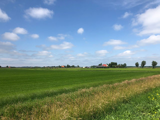 Meadow landscape in Friesland