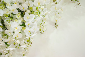 Backdrop decorations by white orchid on white background.