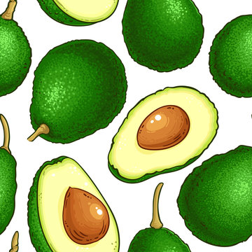 avocado vector pattern