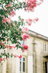 Street view in old french town with traditional architecture