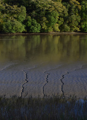The River Tresillian Truro Cornwall