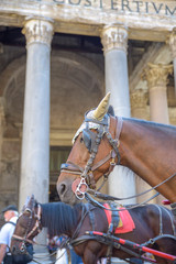Obraz premium Monuments in Rome, Italy. Pantheon, facade of the Roman temple with horses of tourist carriages
