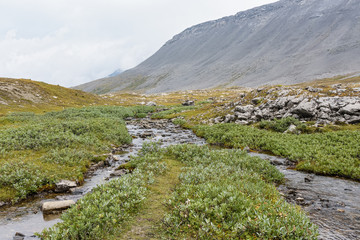 Fototapeta na wymiar Stream with water from a glacier in Alberta, Canada