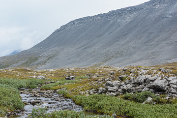 Scene from a mountain in British Columbia, Canada