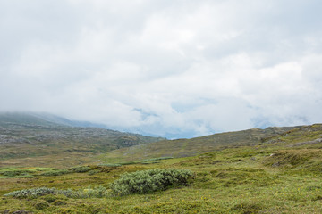 Scene from a mountain in British Columbia, Canada