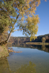 Fototapeta premium Forest with birch tree reflecting in a lake on autumn, reflection, quiet, peaceful and relaxing