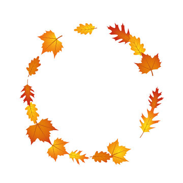 autumn leaves circle isolated on white background