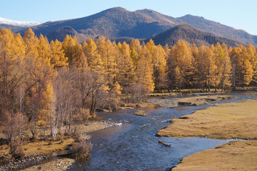 Fototapeta na wymiar Karakol valley in autumn,Altai,Russia.