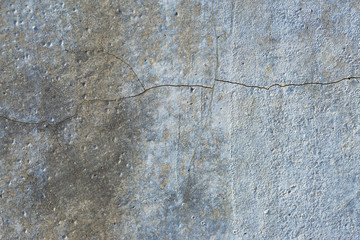 Asbestos slate texture concrete covered with lichen and moss	