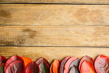 Colorful autumn leaves on the rustic background