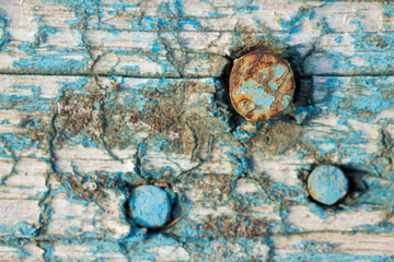 Vintage wood texture, crack paint grunge blue, Nails and screws hammered into the board