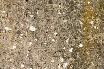Asbestos slate texture concrete covered with lichen and moss	